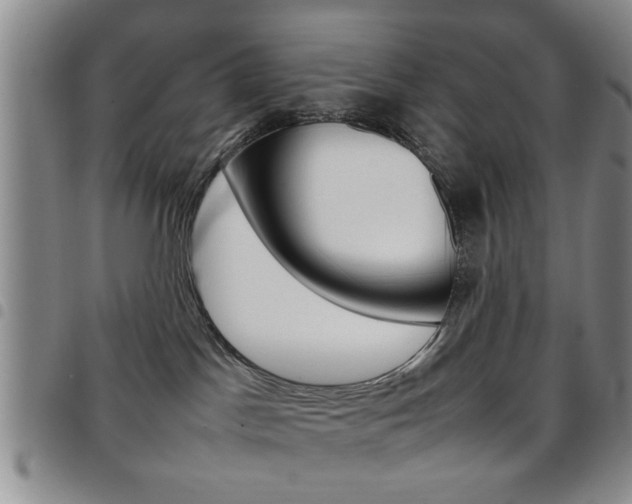 X0000097920045200803141040