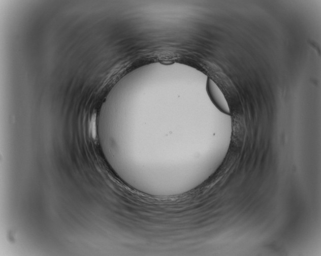 X0000097920046200803141040