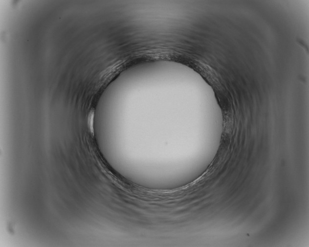 X0000097920047200803141040