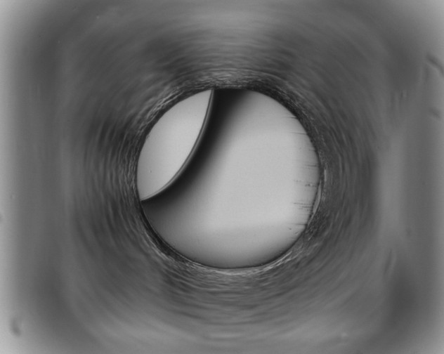 X0000097920048200803141040