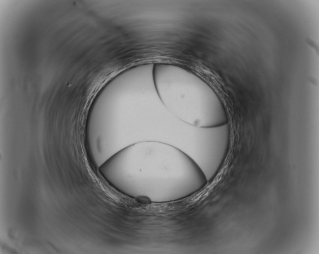 X0000097920049200803141039