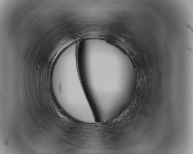 X0000097920050200803141039