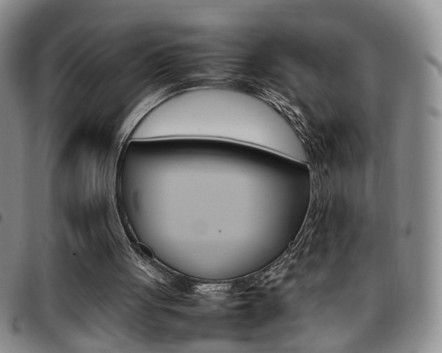 X0000097920051200803141039
