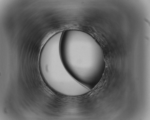 X0000097920052200803141039