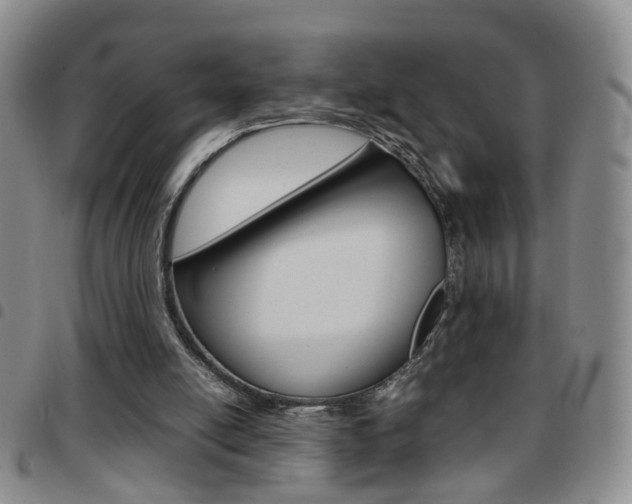 X0000097920054200803141039