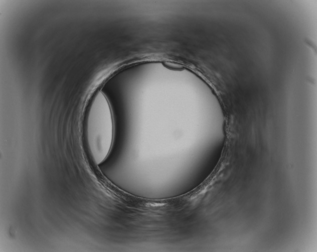 X0000097920055200803141039