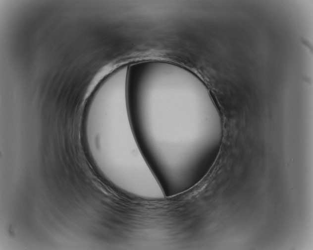 X0000097920056200803141039