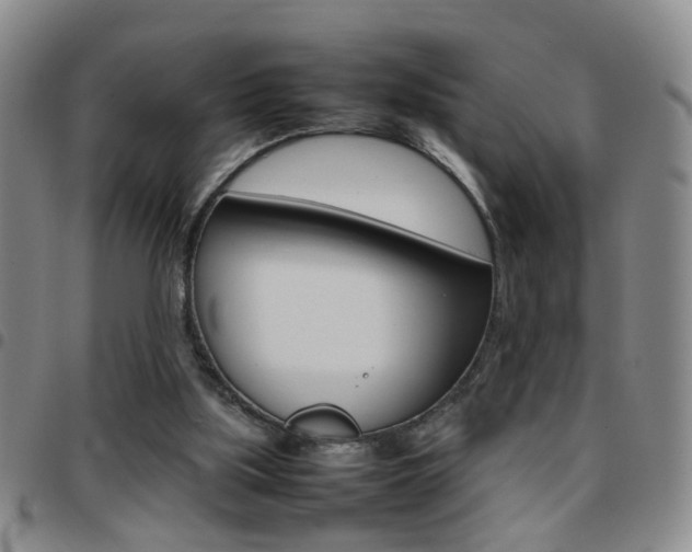 X0000097920059200803141040