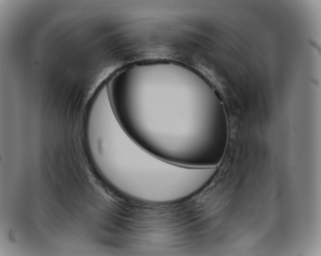 X0000097920060200803141040