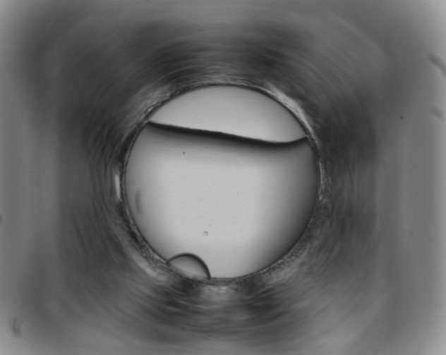X0000097920061200803141040