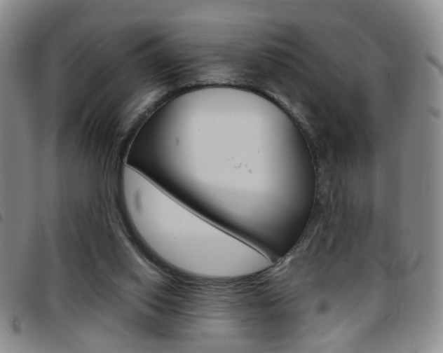 X0000097920062200803141040