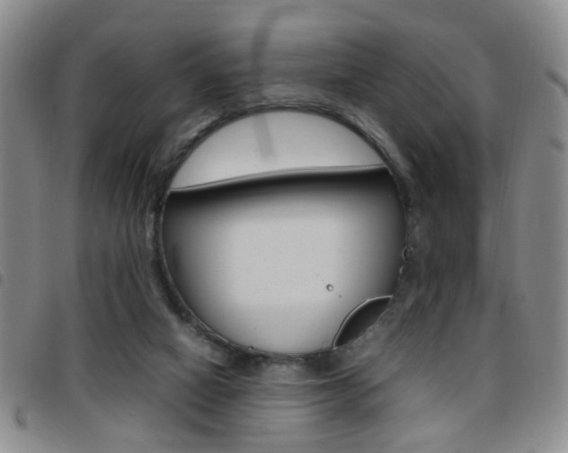 X0000097920066200803141040