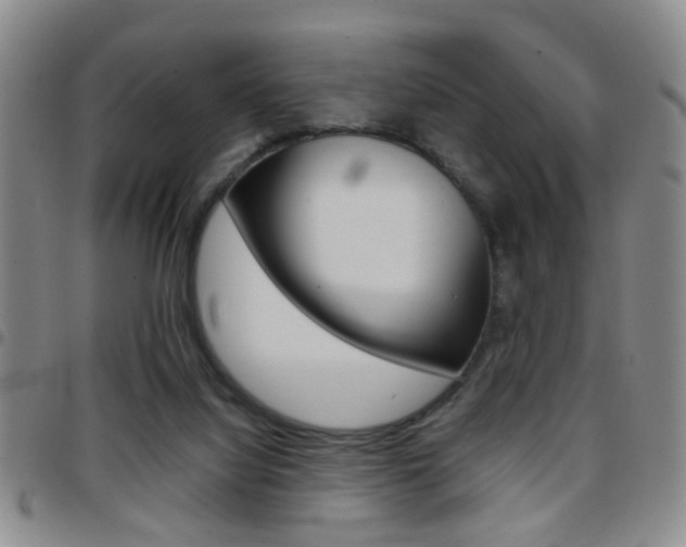 X0000097920068200803141040