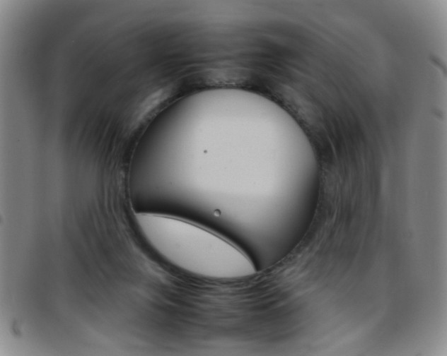 X0000097920071200803141040