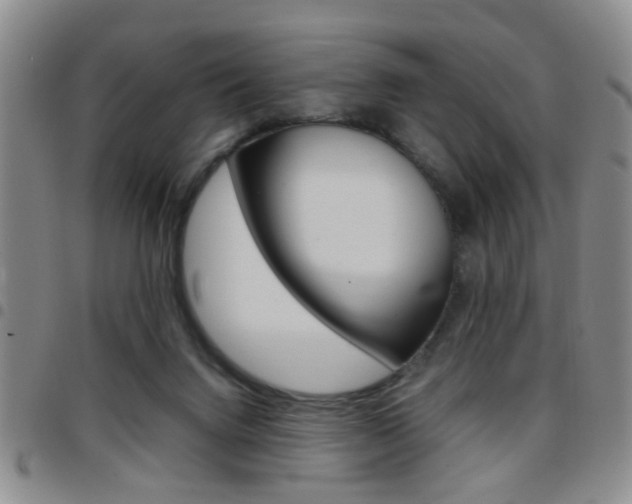 X0000097920072200803141040