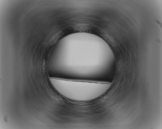 X0000097920073200803141040