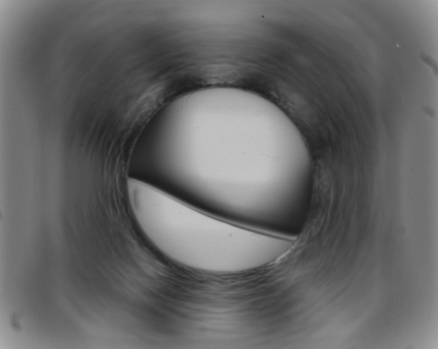 X0000097920074200803141040