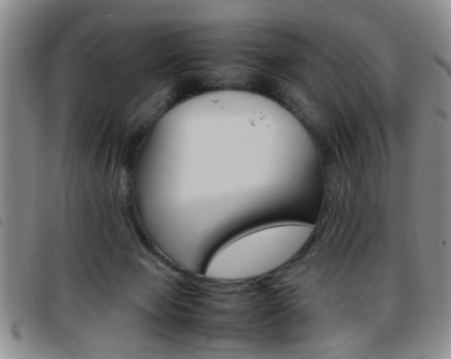 X0000097920077200803141040