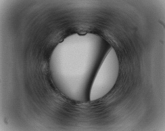X0000097920079200803141040
