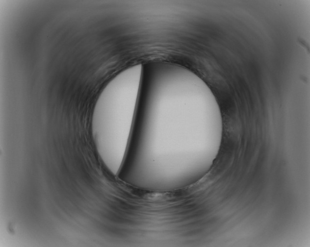 X0000097920082200803141040