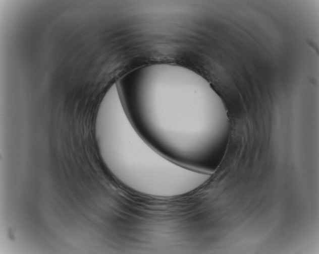 X0000097920084200803141040