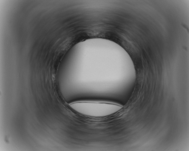 X0000097920085200803141040