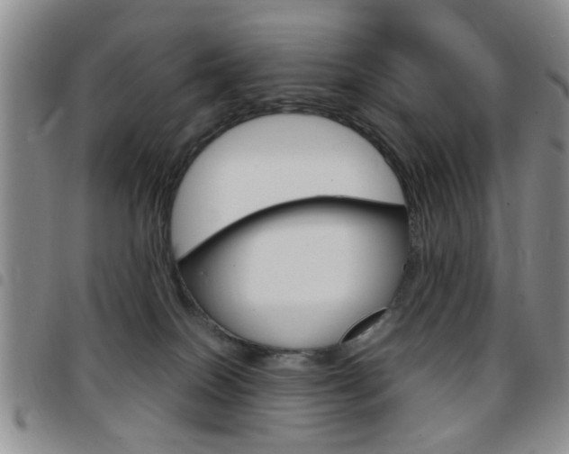 X0000097920086200803141040