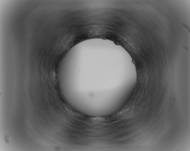 X0000097920087200803141040