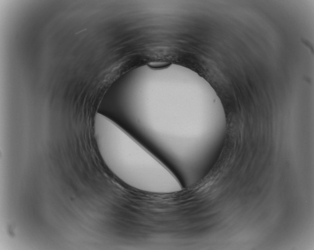 X0000097920089200803141040