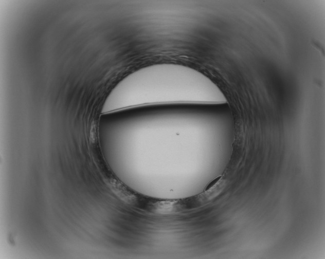 X0000097920090200803141040