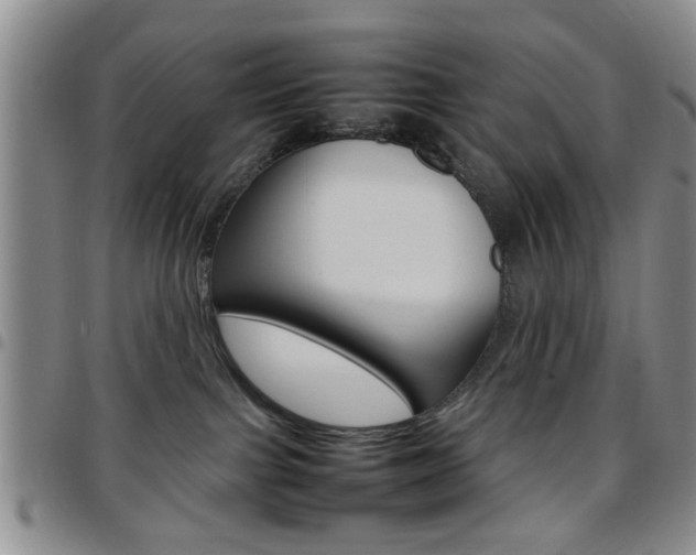 X0000097920091200803141040