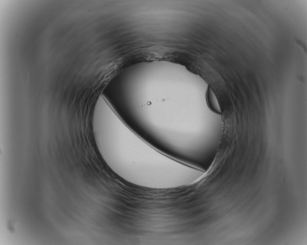 X0000097920094200803141040