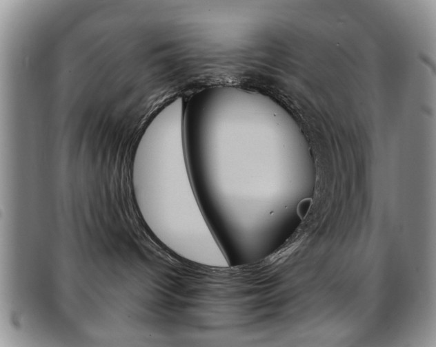 X0000097920096200803141040