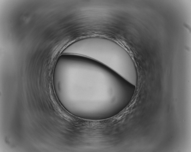 X0000097920097200803141039