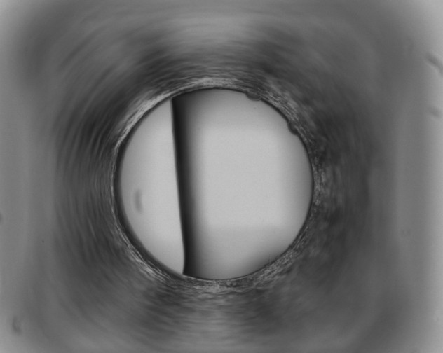 X0000097920098200803141039
