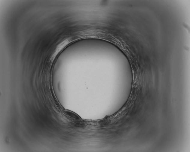 X0000097920099200803141039