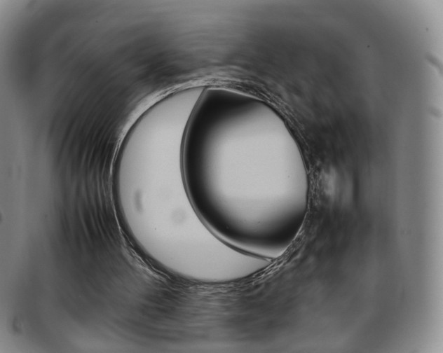 X0000097920100200803141039