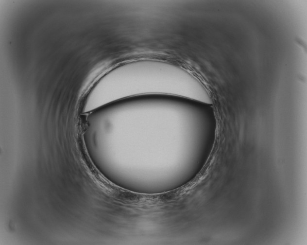 X0000097920101200803141039
