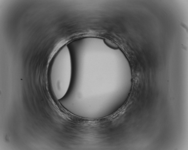 X0000097920102200803141039