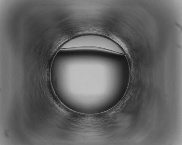 X0000097920105200803141039