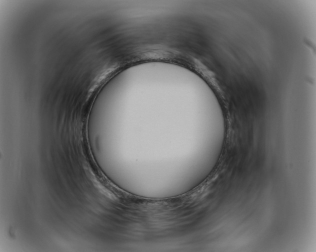 X0000097920106200803141039