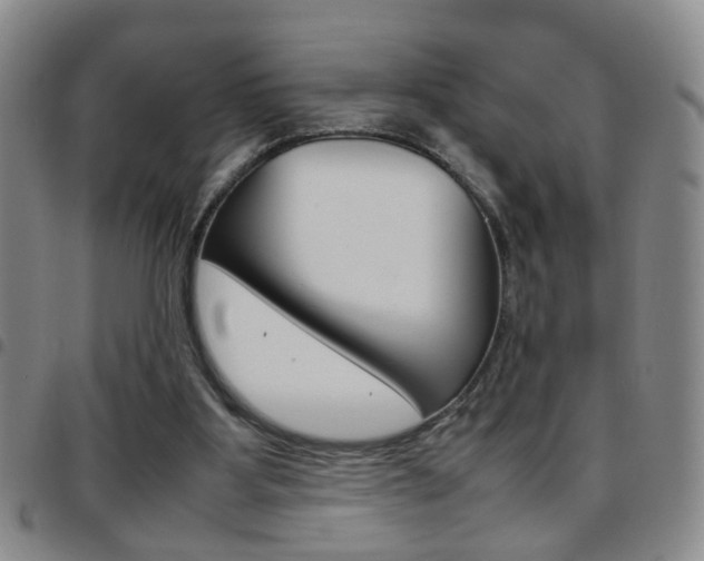 X0000097920107200803141039