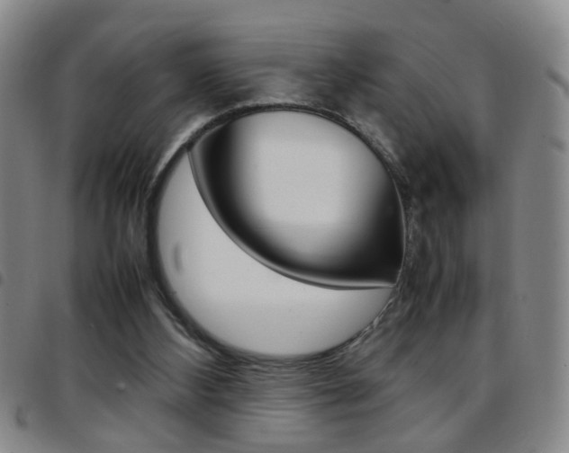 X0000097920108200803141039