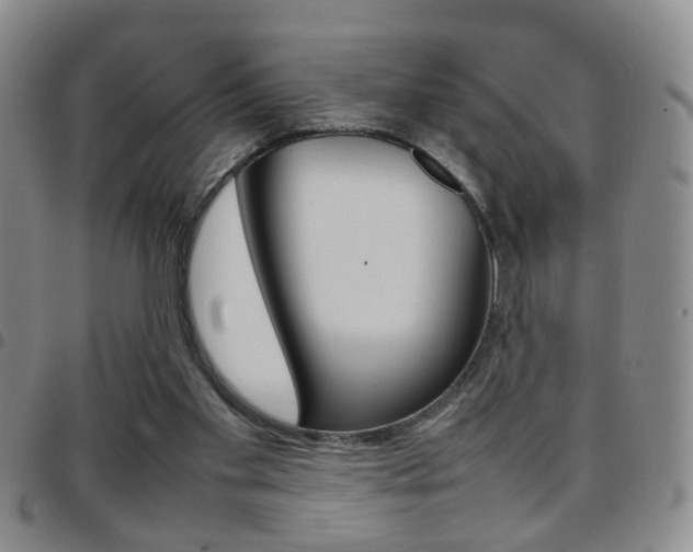 X0000097920109200803141039