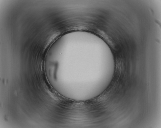 X0000097920110200803141039