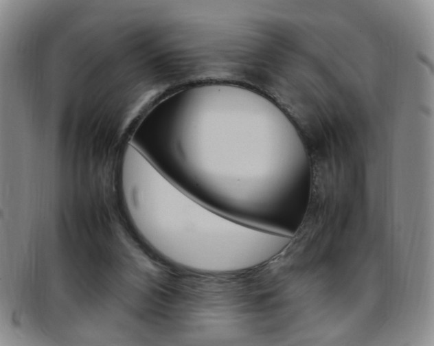 X0000097920112200803141039