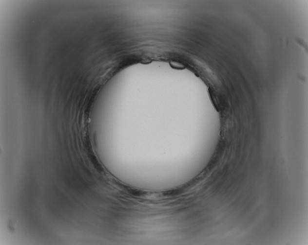 X0000097920121200803141039