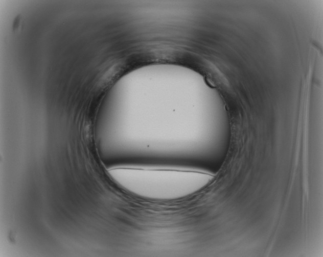 X0000097920123200803141039