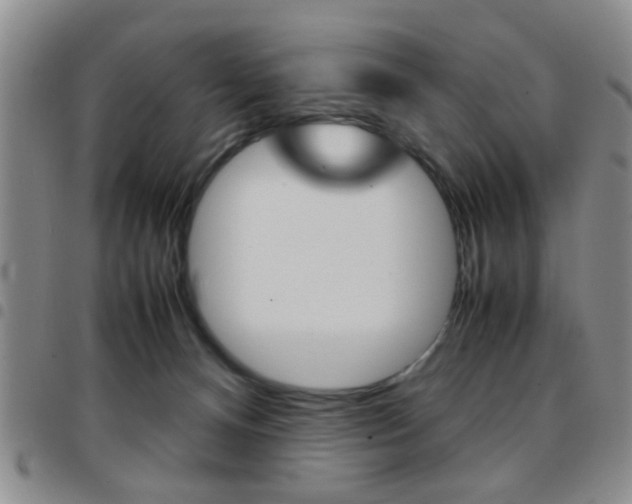 X0000097920128200803141039