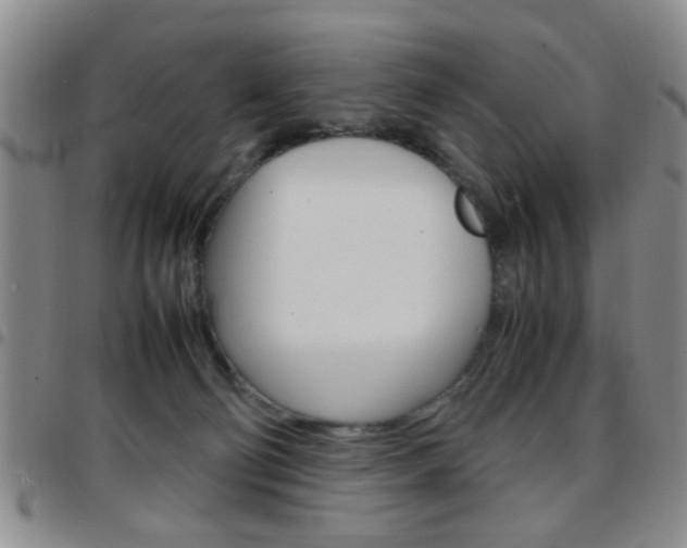 X0000097920130200803141039